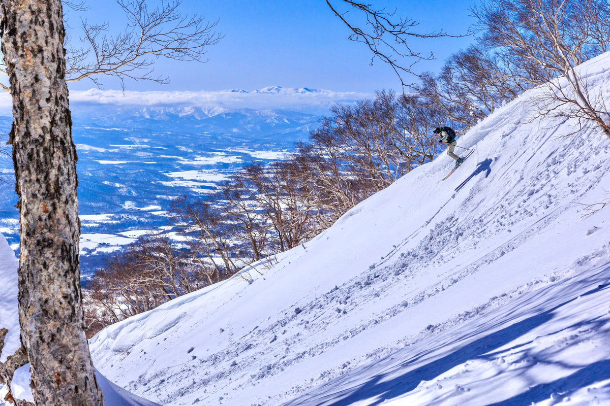 Skier descending powder between birch trees above a sea of clouds