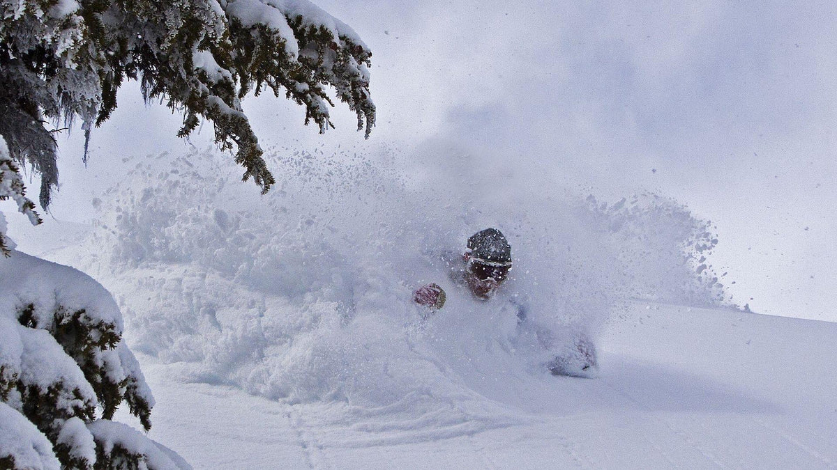 Skier buried in deep powder spray beside snow-covered pine trees