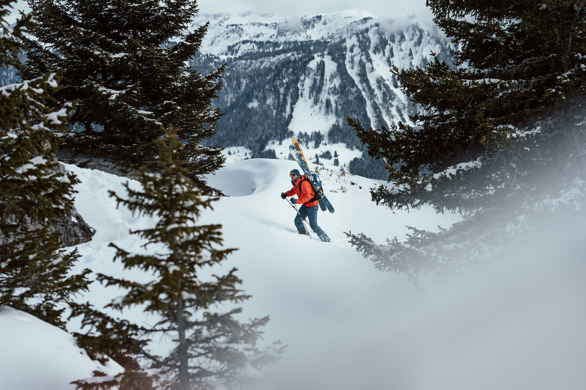 Skier hiking through a snowy forest with skis on their pack