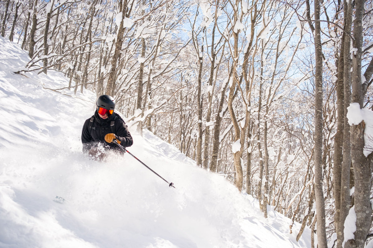 Skier in deep powder between snow-covered trees